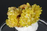 Yellow-Orange Pyromorphite Crystals - Bunker Hill Mine, Idaho #175883-2